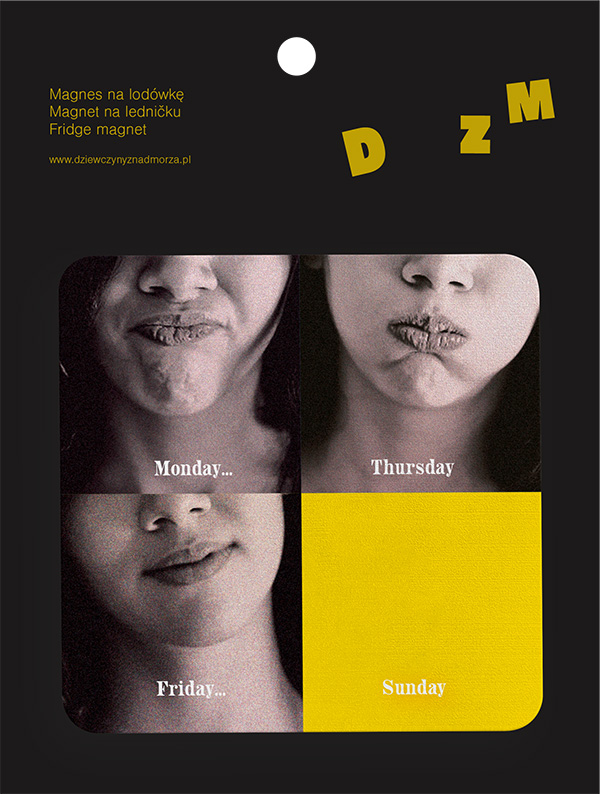 DZM-magnets-1