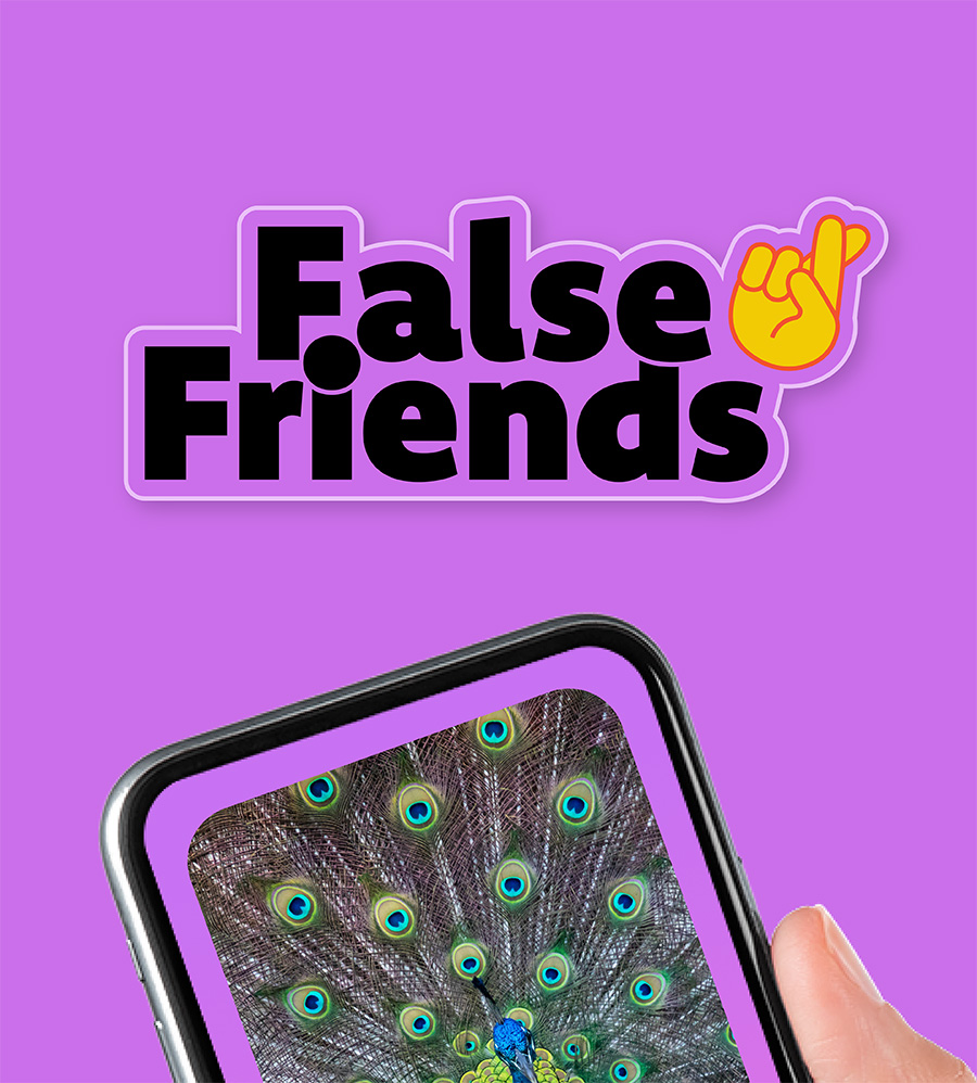 FalseFriends-2024_2-web